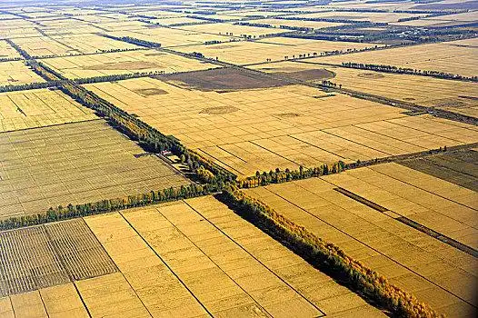 壮美黑土地--北大荒