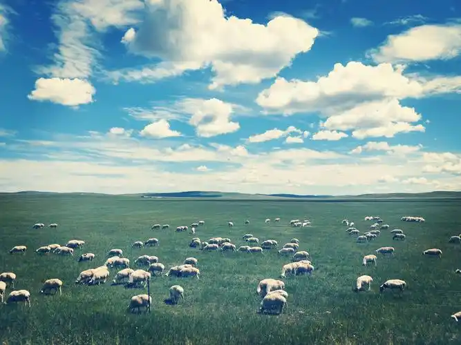 环顾家乡——内蒙古高原