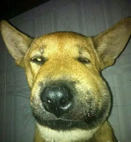 其实是打肿脸去感受下气氛,既然来就好好享受一下,这么吵.