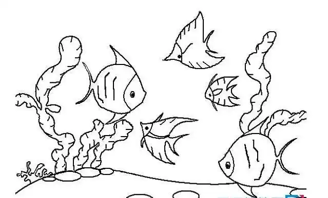 小鱼群简笔画