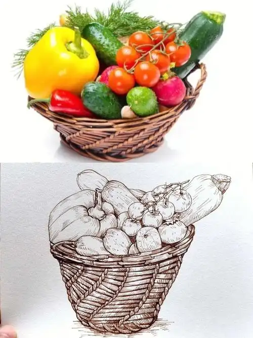 蔬菜篮子写生创意线描画写生线描原创