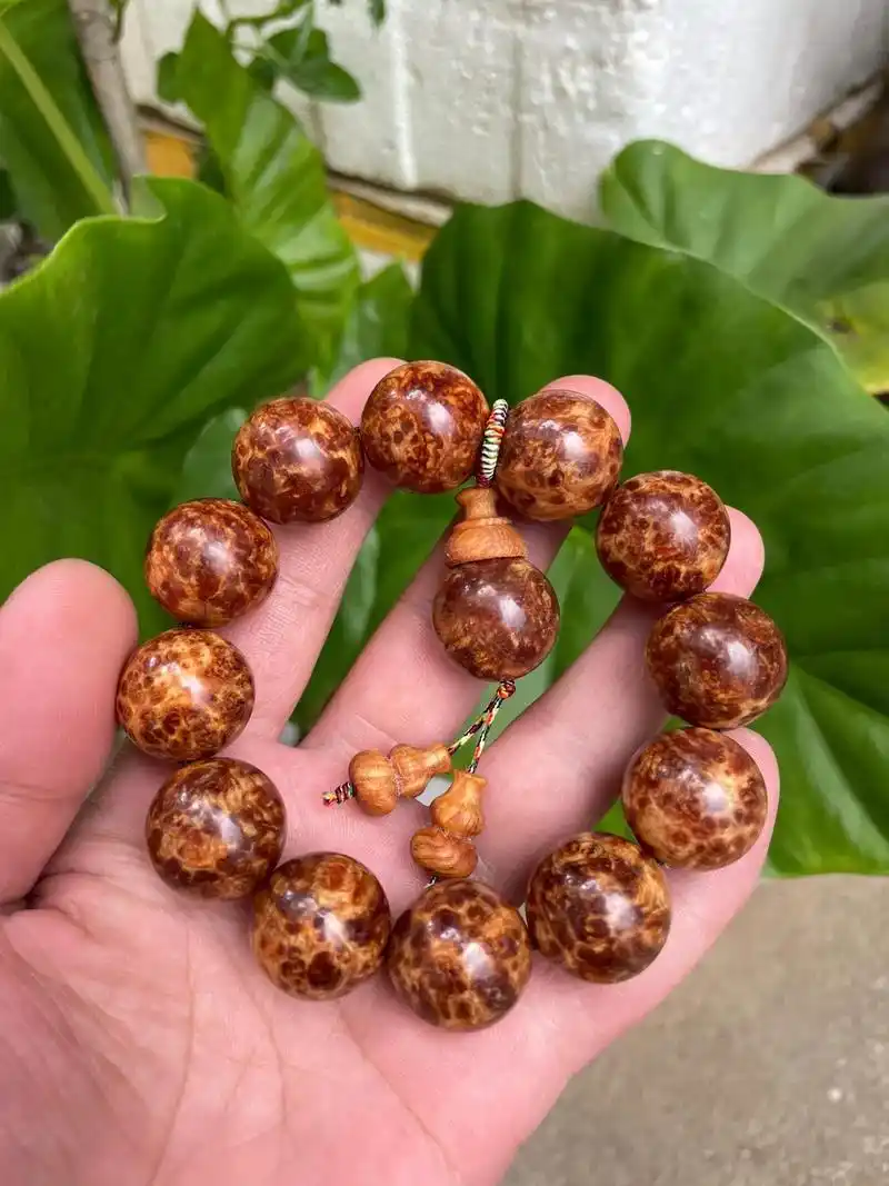 长白山琥珀木瘤疤陈化满油全透原生态手串 #文玩手串 #大自然 - 抖音