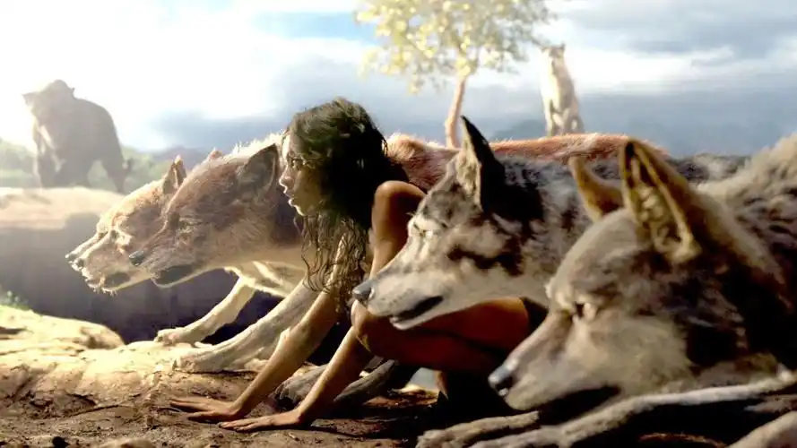 奇幻冒险电影《森林之王》,狼孩搏杀百兽之王老虎!