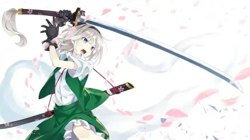 火焰斩东方project魂魄妖梦