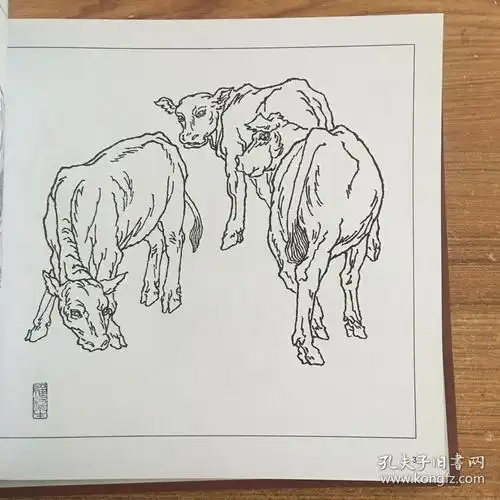 画牛百态,实用白描画稿