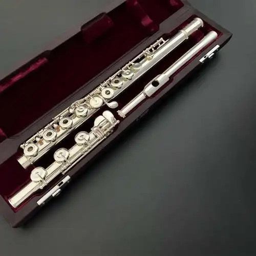 村松长笛 ds/sr/ptp