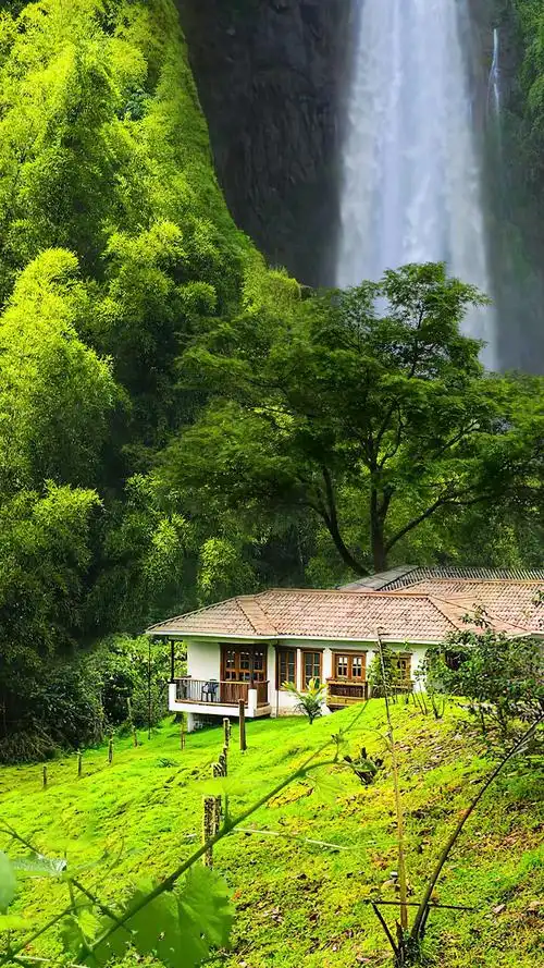 世外桃源远离城市的喧哗隐居深山老林种种菜养养鱼有多少人向往这样的