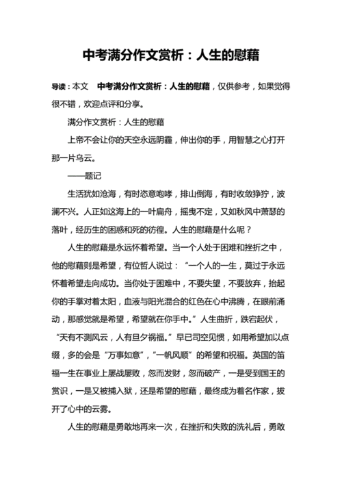 中考满分作文赏析人生的慰藉docx6页