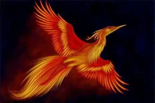 对于凤凰的真实存在与否,历来有不同的观点,学术界中多数是否定历史中