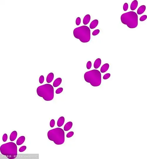 狗的脚印向右转