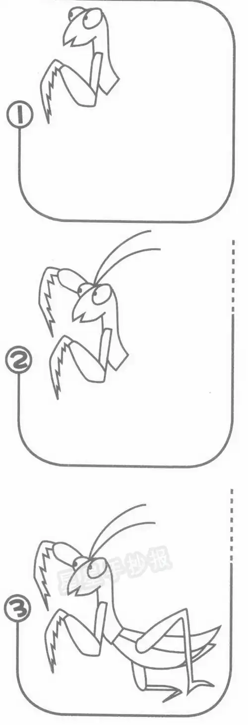 螳螂简笔画图片画法