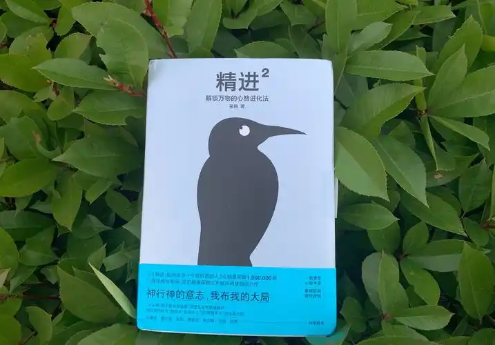 一本可以一看再看的学习方法指导书精进2解锁万物的心智进化法