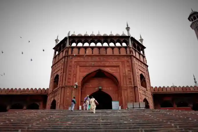 india五月奔跑在40的天竺国