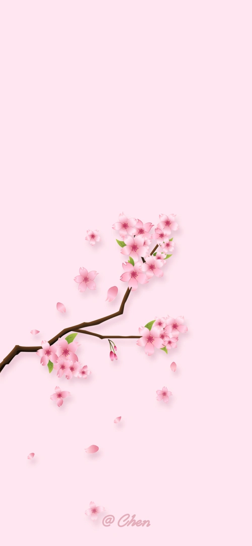 自娱自乐手机屏保樱花
