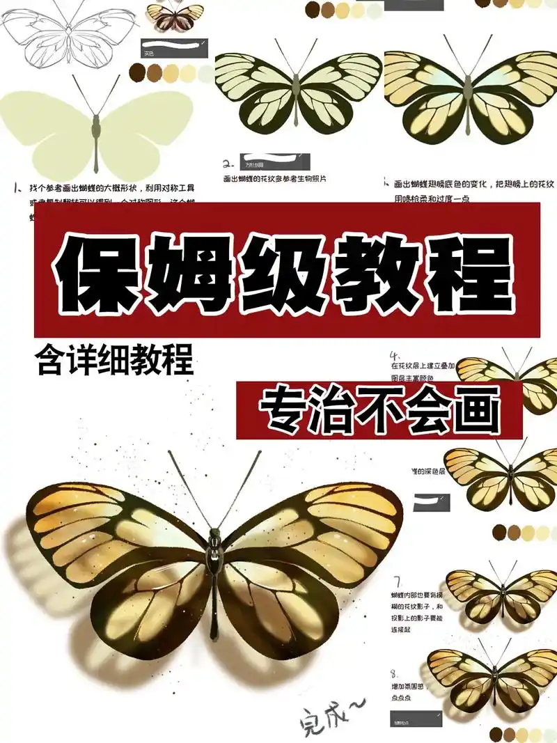 温柔的蝴蝶画法教程!今天的蝴蝶画法很简单哦~#零基础学插画  - 抖音