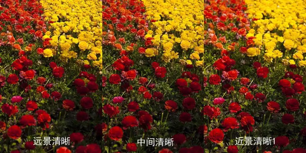 中,后分别清晰(在景深范围内)的照片,当然是根据你拍摄的对象,使用