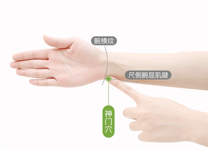 神门穴在腕部,腕掌侧横纹尺侧端,尺侧腕屈肌腱的桡侧凹陷处.
