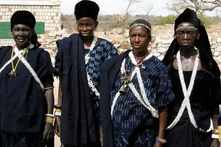 非洲马里南部的多贡部族【45】 - ppt园地的日志 - 网易博客