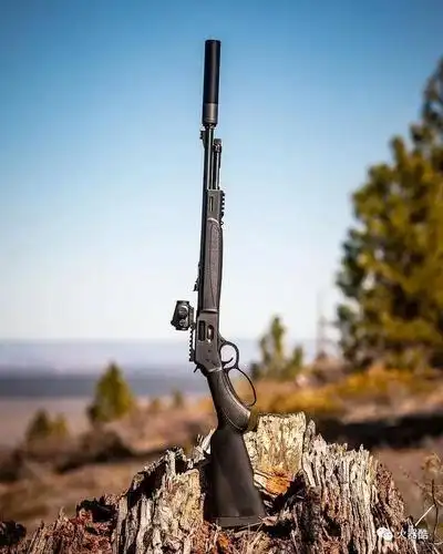 西部野性之美亨利杠杆步枪美图欣赏
