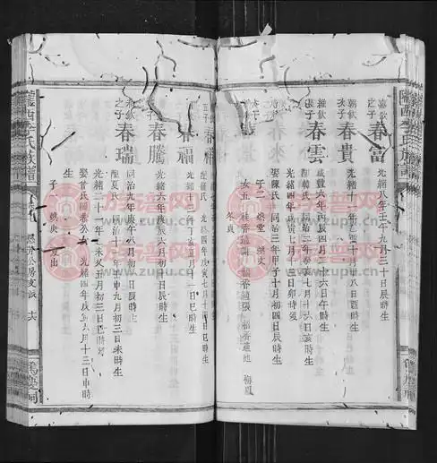 陇西堂陇西李氏族谱[27卷首1卷]第17本 - 李氏堂号字辈查阅 - 族谱网