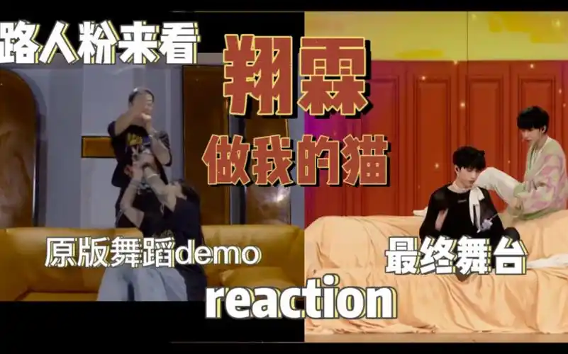 路人粉来看翔霖做我的猫原版舞台demo和最终舞台reaction