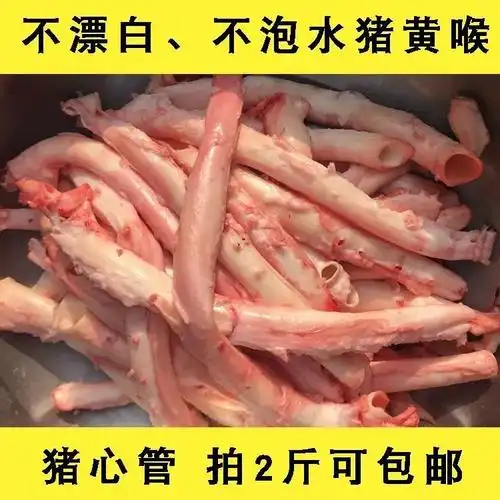 新鲜猪黄喉鲜黄喉不泡水不漂白猪心管火锅喉管土猪黄喉食材批发