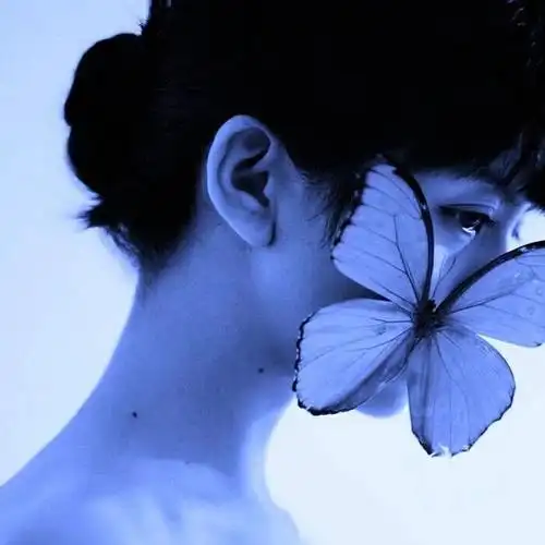 求求有蝴蝶03元素的头像