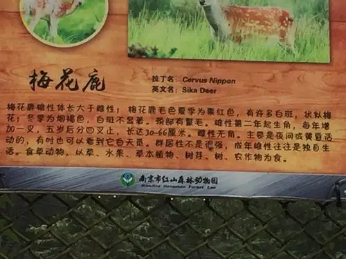 游记------动物园