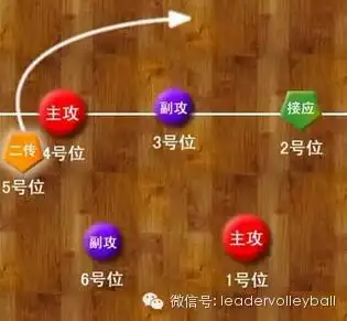 进攻站位排球场不得不说的站位图解何为阶梯进攻
