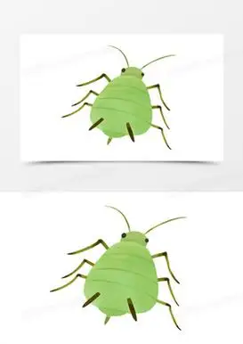 卡通蚜虫绿色害虫元素