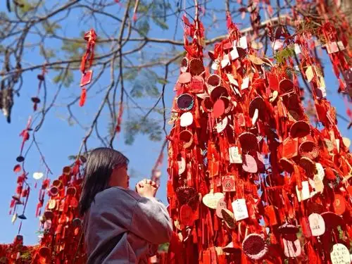 好运气来了都是深圳人,属实要感受一下广东人过年气氛2021年新年愿望