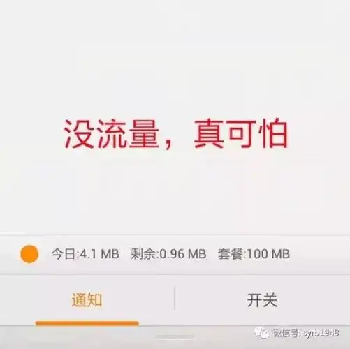 手机流量够用不?