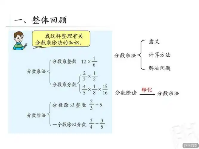 青岛版六年级上册1分数乘除法回顾整理.ppt