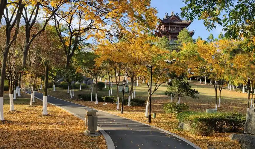 桐乡市新世纪公园斑澜秋色