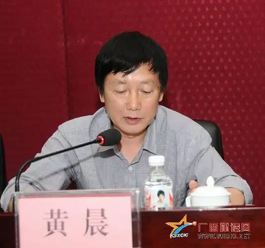 协会理事长黄晨总结了协会2010工作,并对2011年度协会工作作了布置