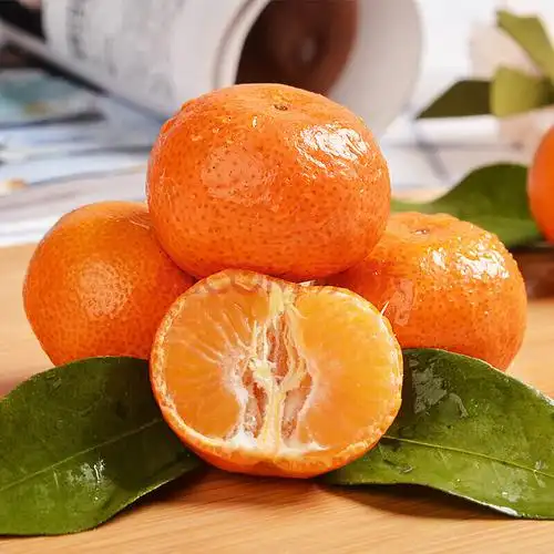 锦溪源广西砂糖橘礼盒新鲜小橘子水果当季水果精选果10斤by盒