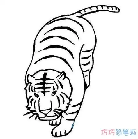 老虎简笔画 小老虎简笔画