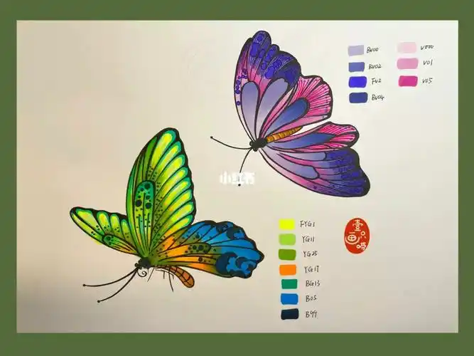 视觉传达设计考研手绘素材积累蝴蝶03