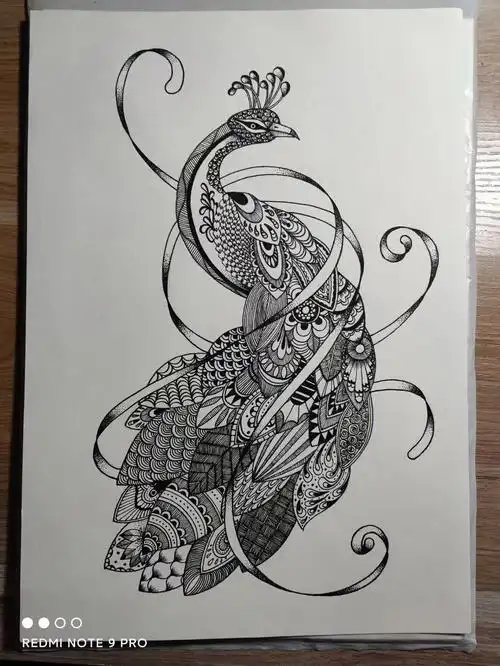 黑白线描步骤图