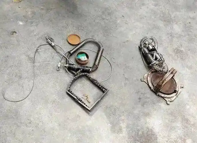 原创三只老虎被野猪套勒死为何总被野猪陷阱误杀野猪套有多狠