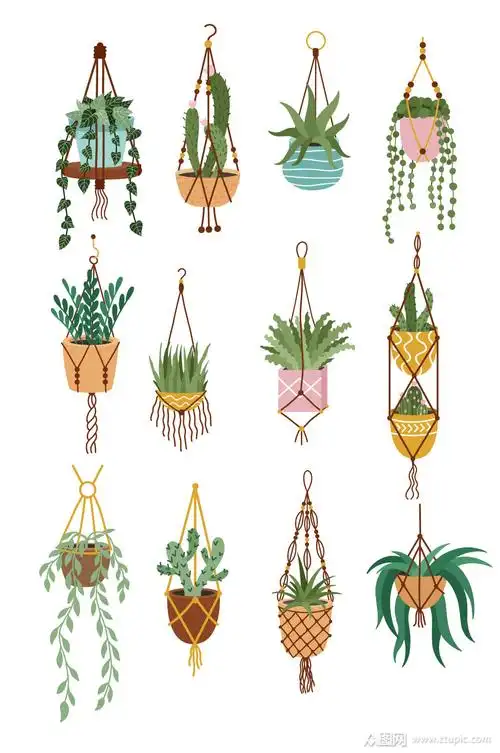手绘吊兰盆栽花卉
