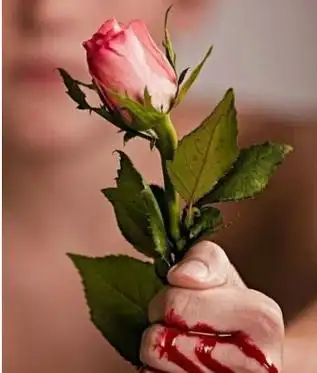 求手拿着带刺的玫瑰花但是手正在流血的图片