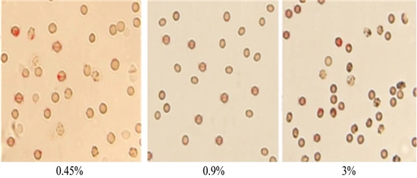 为研究红细胞保存的
