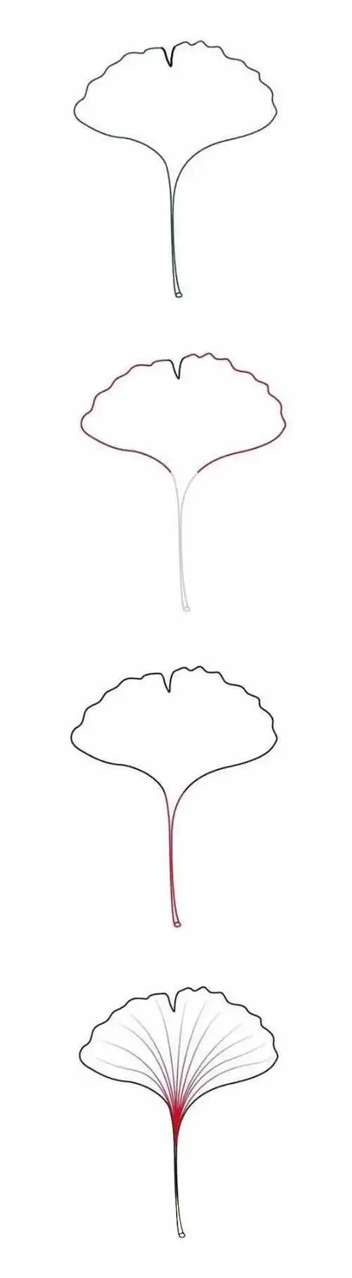 怎么绘画银杏树叶的画法带步骤图涂颜色