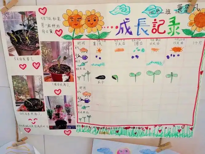 向日葵的生长需要阳光,肥料和水,小朋友们自制的观察记录表,部分小