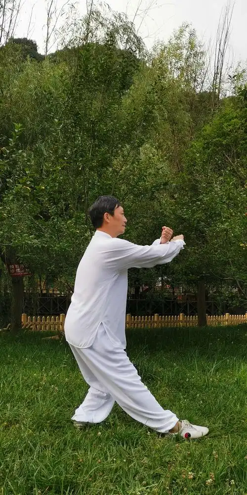 杨氏四十二式太极拳分解动作及视频