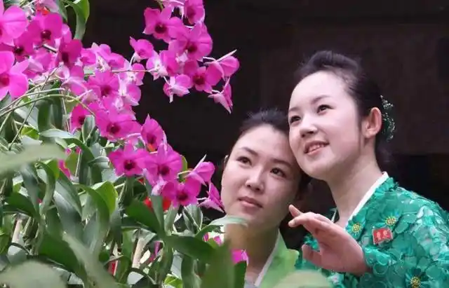 来朝鲜旅行女导游传授秘籍如何分辨当地有钱人