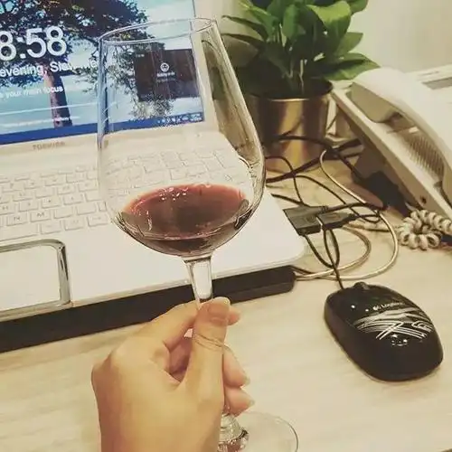 我之所以喝葡萄酒是为了奖励认真生活的自己