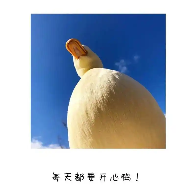要开心鸭# #背景图# #朋友圈背景图# #朋友圈文案背景图# #锁屏壁纸
