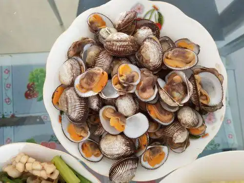 红蚶子煮多长时间